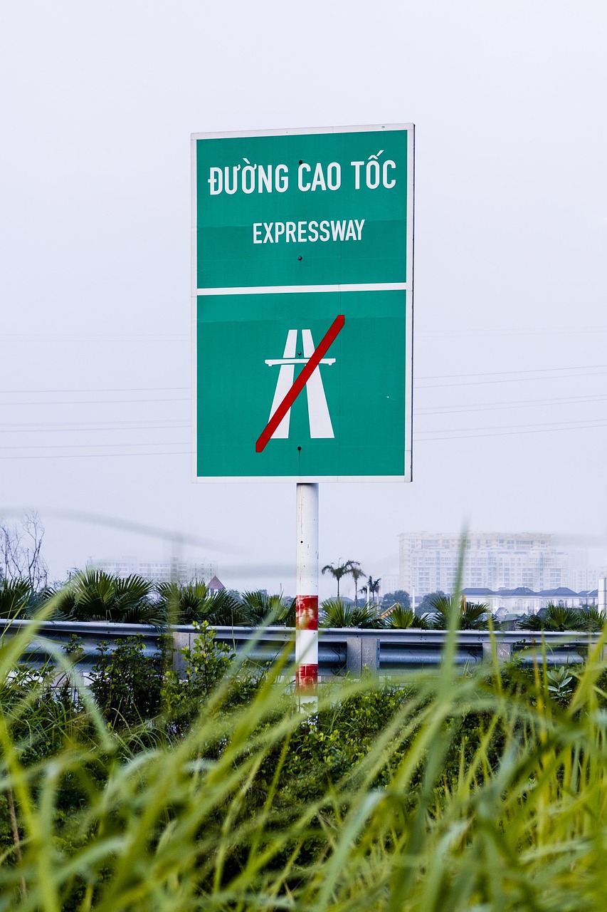 無為市資訊速遞，城市動態(tài)與經(jīng)濟(jì)文化發(fā)展概覽