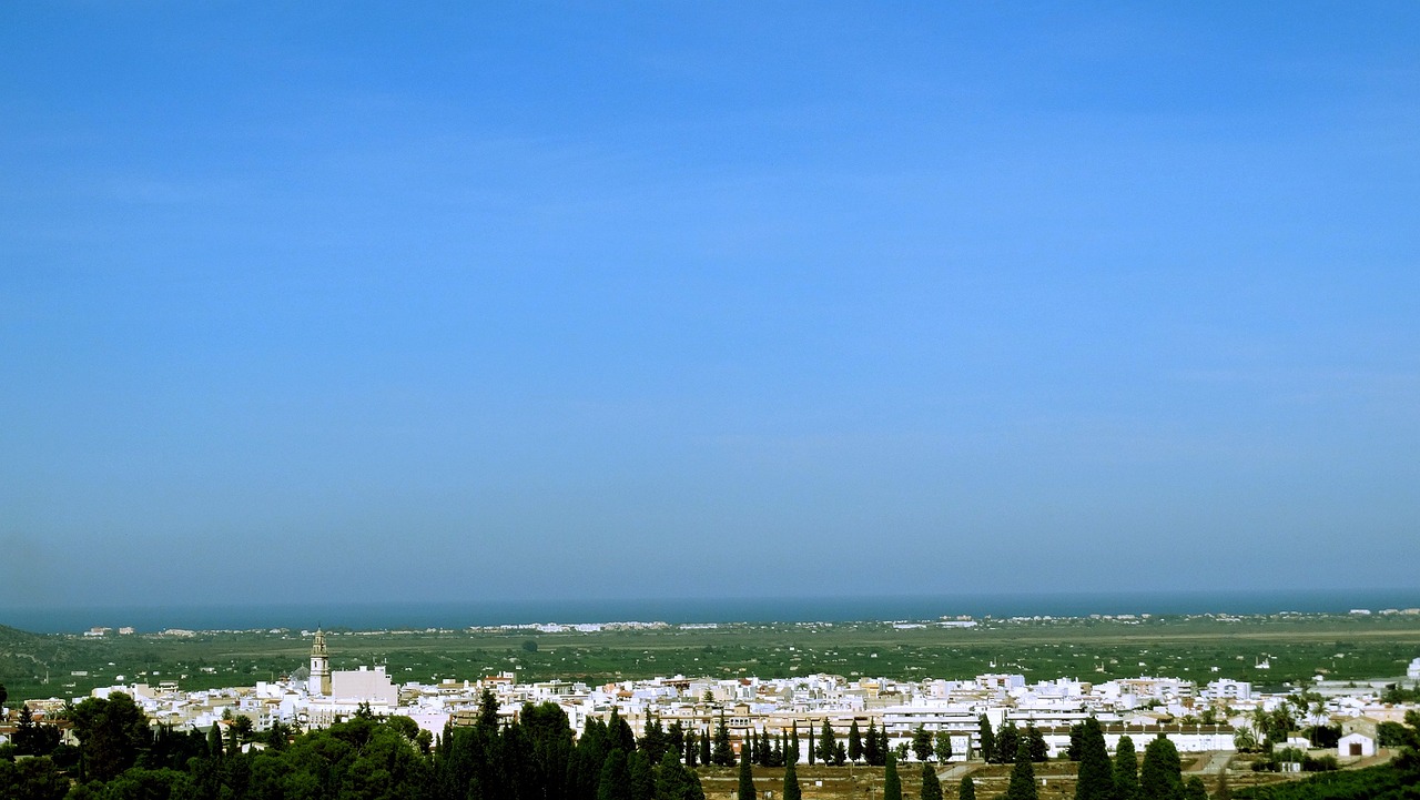 莘莊動(dòng)態(tài)資訊，揭示城市發(fā)展的脈搏，掌握最新資訊動(dòng)態(tài)。